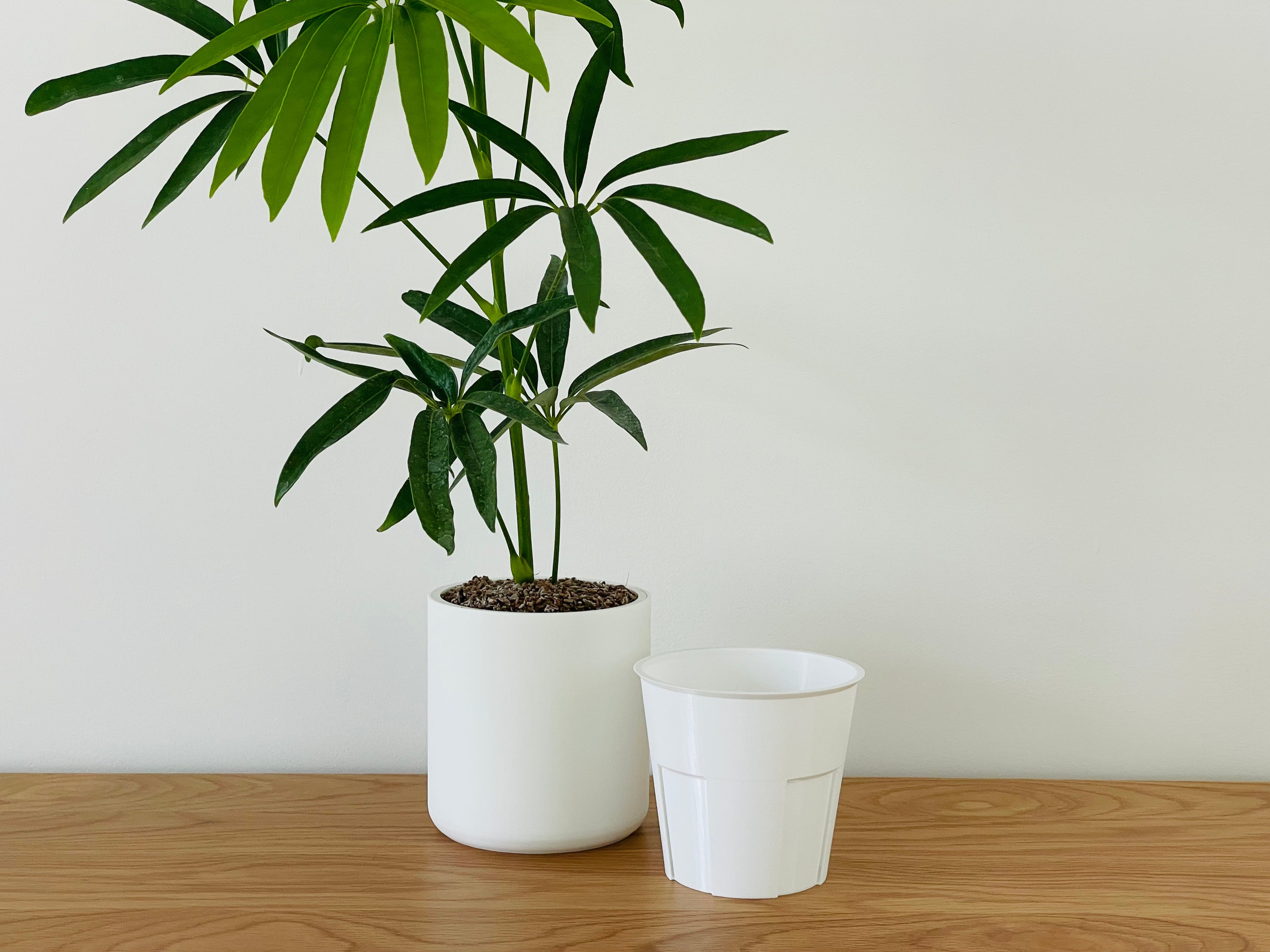 Classic Cylindrical Planter
