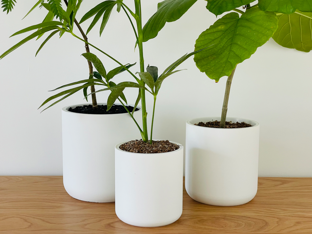 Classic Cylindrical Planter