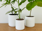 Classic Cylindrical Planter